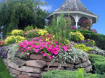 Bee, Bird & Butterfly Garden Services, Loveland, CO