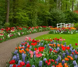 Bee, Bird & Butterfly Garden