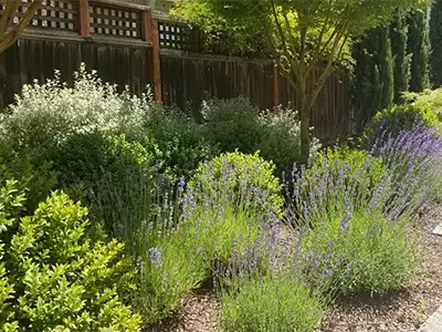 Custom Gardens, Loveland, CO